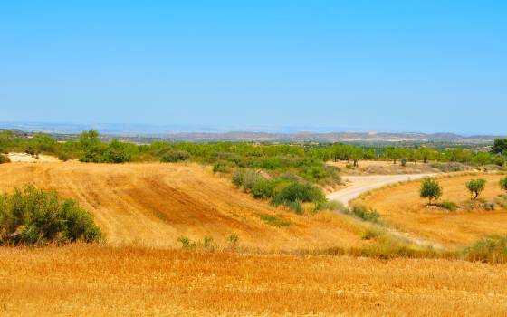 Casas rurales en Castellvell del Camp