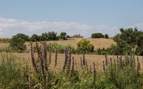 Cases rurals a Santa Maria de Miralles