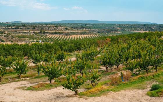 Cases rurals a Mollerussa