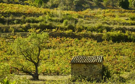 Gîtes de charme à Pradell de la Teixeta