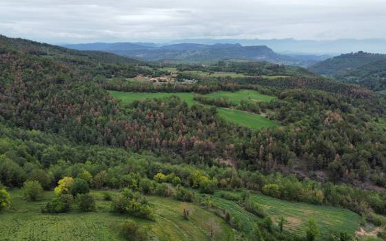 Gîtes de charme à Santa Eugènia de Berga