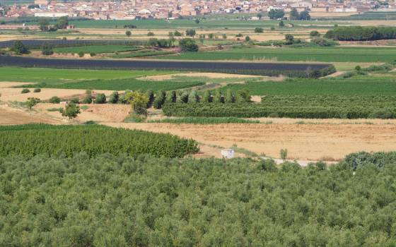 Cases rurals a Torregrossa