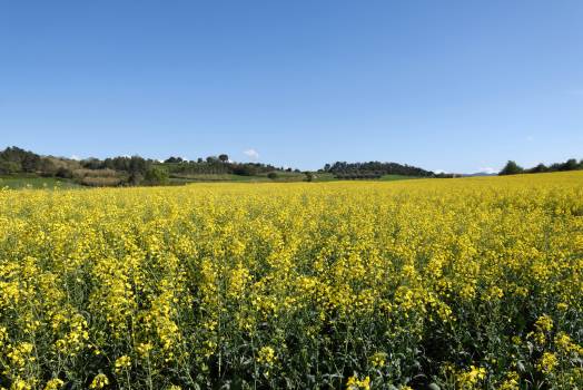 Gîtes de charme à Vilamalla