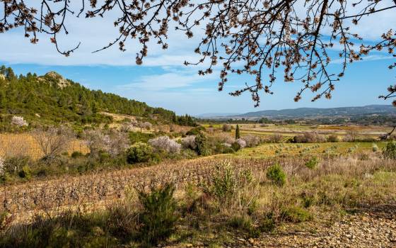 Gîtes de charme à Bovera