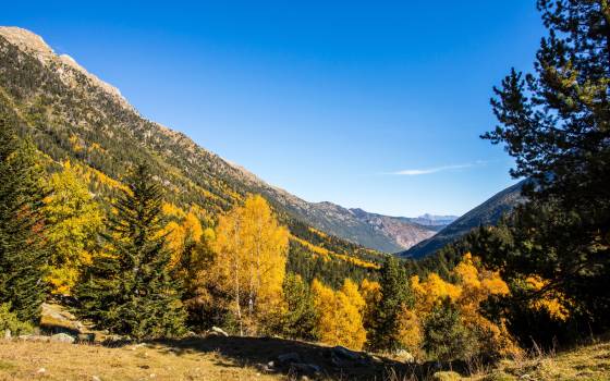 Cases rurals a la Coma i la Pedra