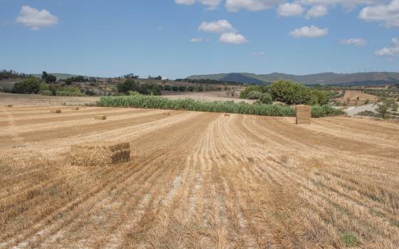 Cases rurals a Veciana