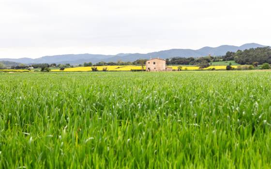 Holiday cottages in l&#39;Aleixar