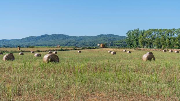 Holiday cottages in Campllong
