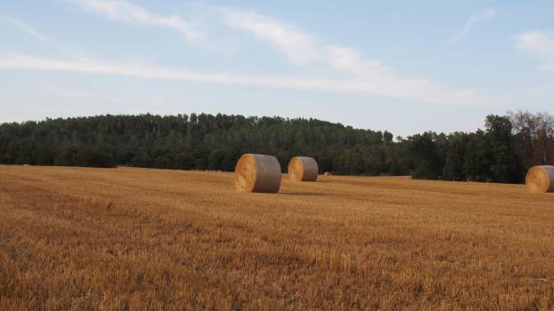 Gîtes de charme à Garrigàs