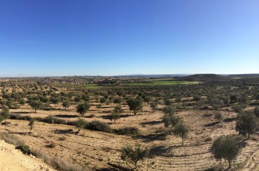 Casas rurales en Alcanó