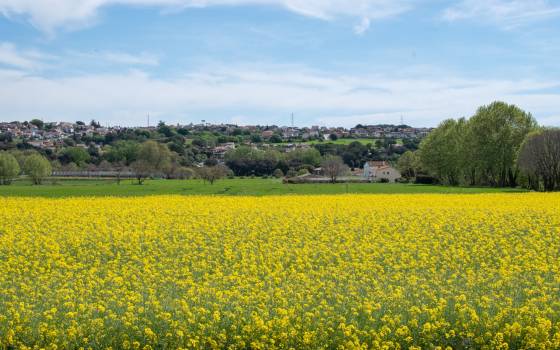 Holiday cottages in Masquefa