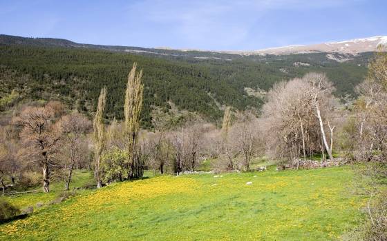 Casas rurales en Bolvir