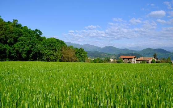 Gîtes de charme à L&#39;Esparra