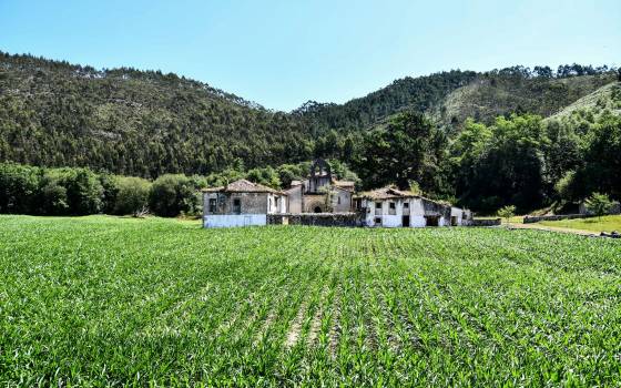 Cases rurals a Granyena de les Garrigues