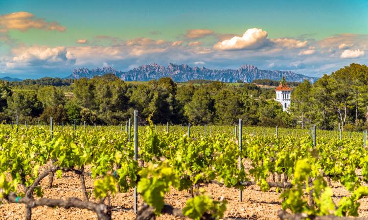 10 proposals to discover the Penedès region