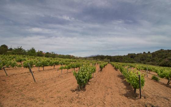 Holiday cottages in Sant Esteve Sesrovires
