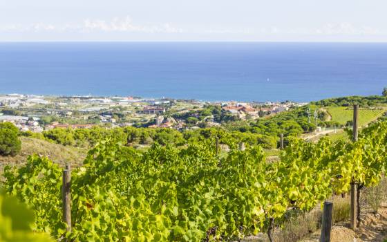 Holiday cottages in Alella