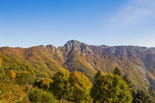 Gîtes de charme à Montseny