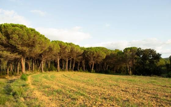  à Tordera