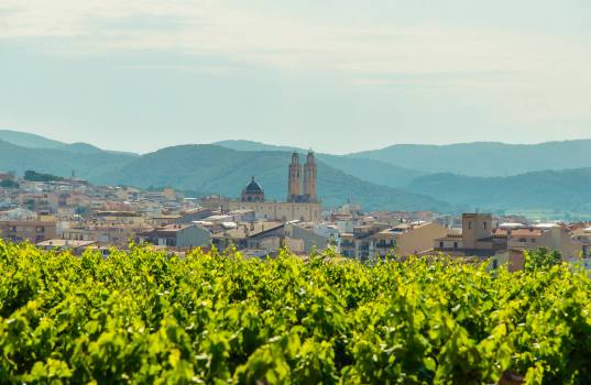 Cases rurals a Sant Pere de Ribes